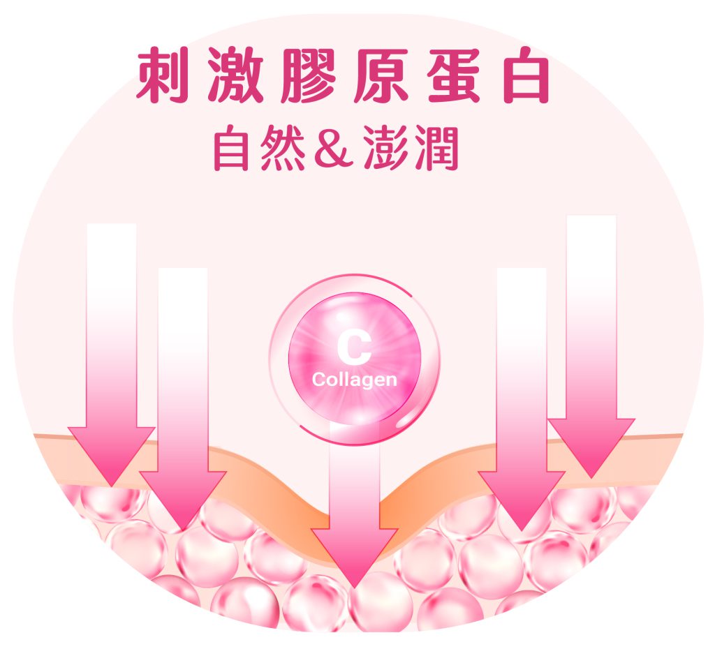精靈針 工作區域 1 複本 8 工作區域 1 複本 8 工作區域 1 複本 19