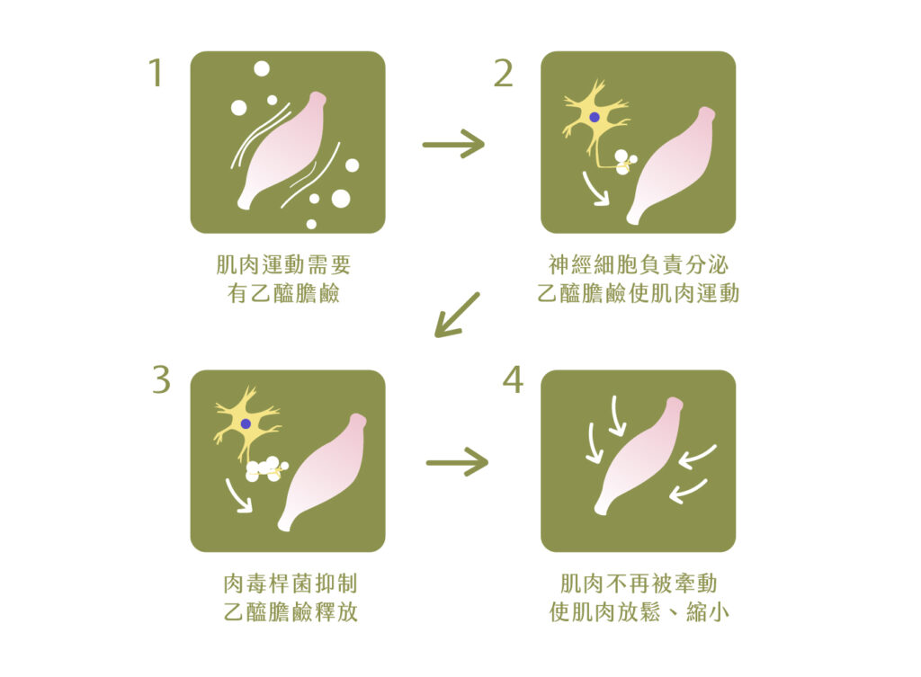 工作區域 1 複本 3 100