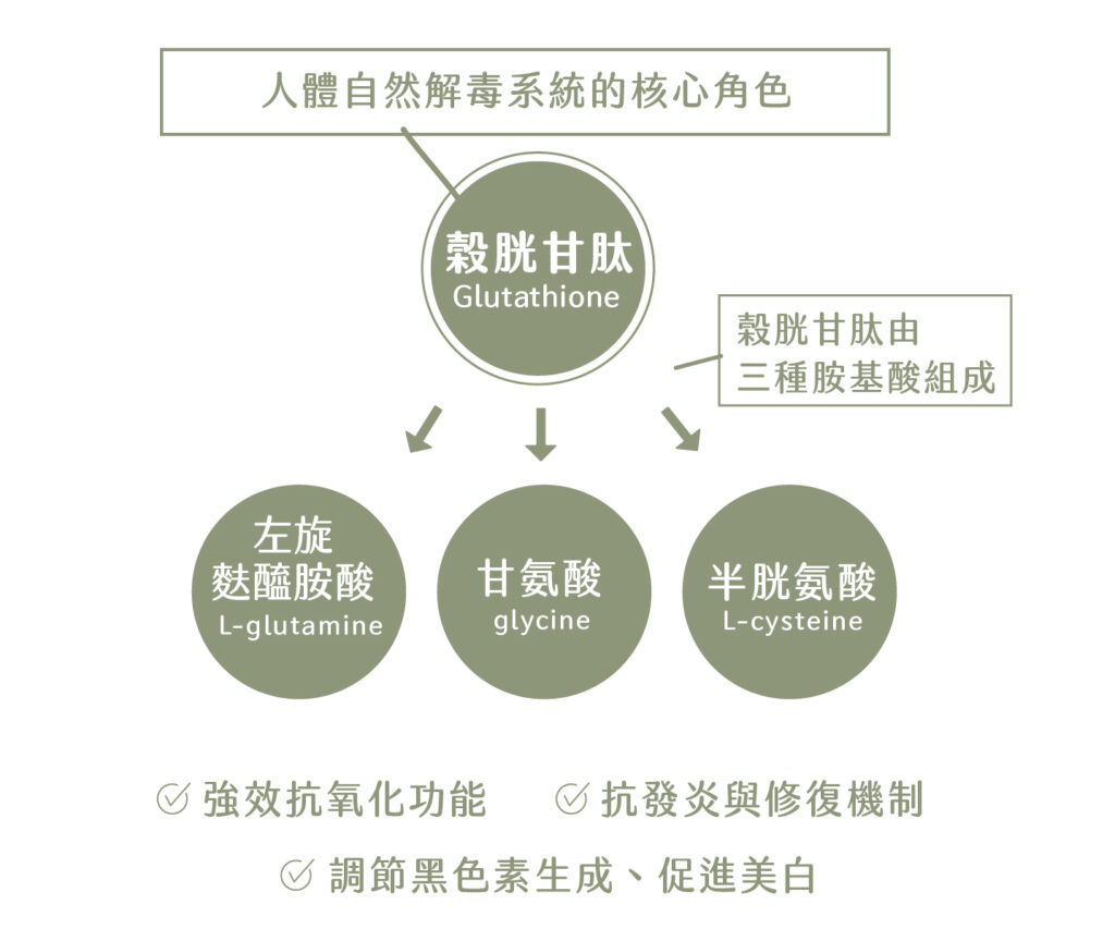 glutathione 是什麼 穀胱甘肽功效是什麼？解析抗氧化亮白關鍵！口服美白保健食品推薦樂立纖穀胱甘肽膠囊- 好視新聞網 main image 1