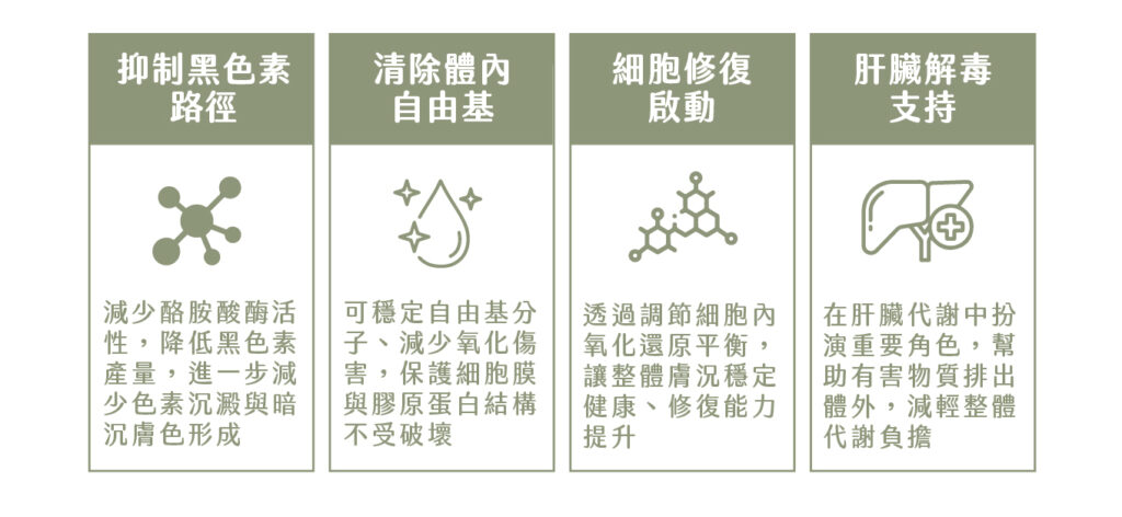 小野 穀胱肝肽點滴3 工作區域 1 複本 4